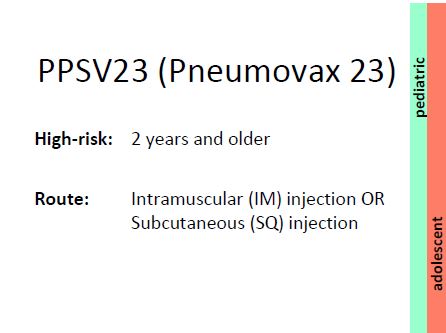 PPSV23
