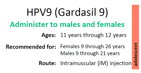 HPV9(3)